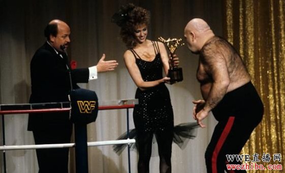 wwe����ˤ��������ع�