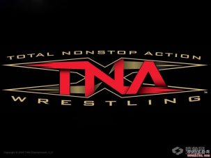 TNA注资者是谁，迪克西地位不保？